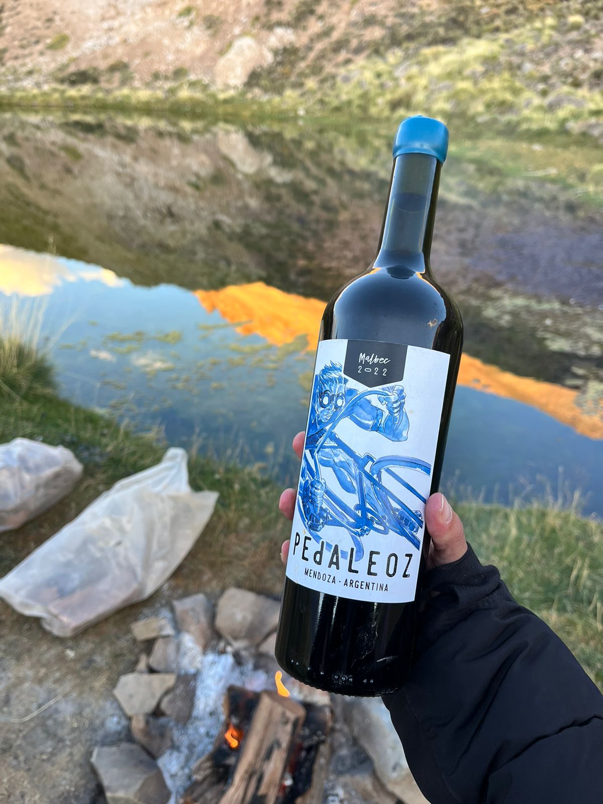 Vino Pedaleoz